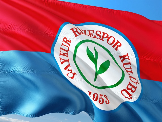 主义到团队 主义到团队