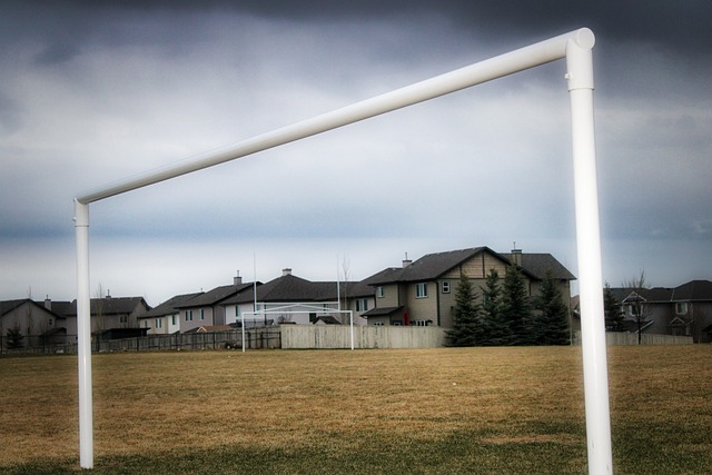 吸引了来自 吸引了来自