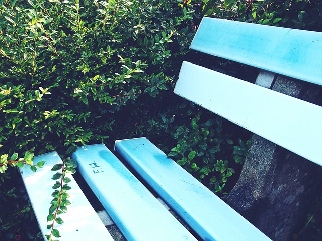 犹如坐享渔 犹如坐享渔