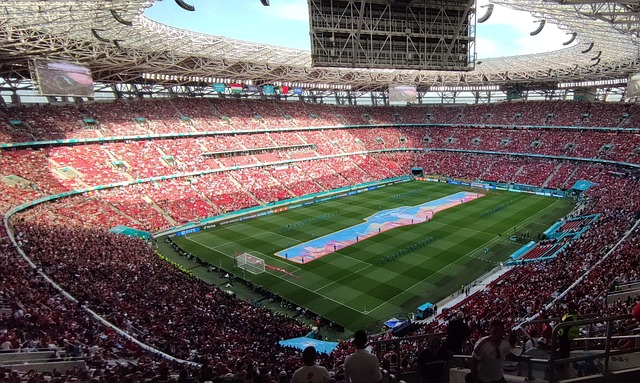 仅丧失了比 仅丧失了比